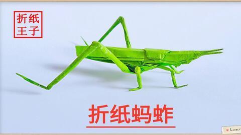 国产金属蝗虫改造视频,科技与生物融合的震撼展示