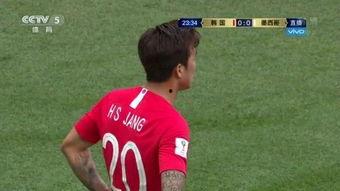 国产vs老外球员视频